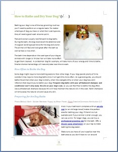 How to Groom a Dog Ebook