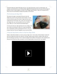 How to Groom a Dog Ebook