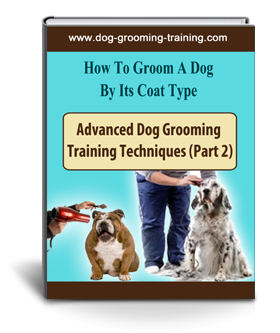 dog grooming training
