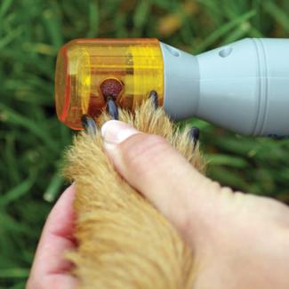 To recap make sure you check out the dog nail grinder's power,