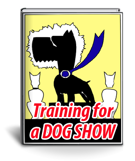 training for a dog show | dog grooming training