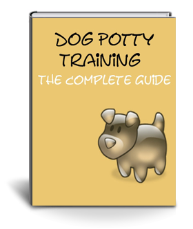 dog potty training